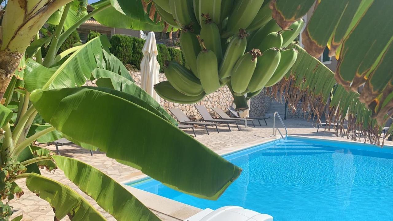 Katarina Apartments Kefalonia - Sea View Argostoli  Exterior foto